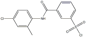 3-[(4-chloro-2-methylphenyl)carbamoyl]benzene-1-sulfonyl chloride 结构式