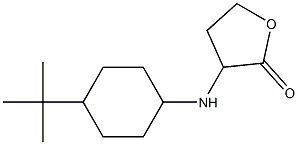 3-[(4-tert-butylcyclohexyl)amino]oxolan-2-one Structure