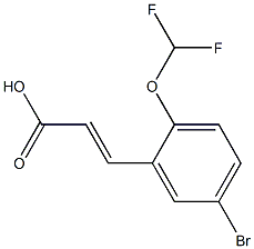 3-[5-bromo-2-(difluoromethoxy)phenyl]prop-2-enoic acid