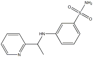 3-{[1-(pyridin-2-yl)ethyl]amino}benzene-1-sulfonamide 结构式