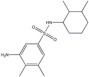 3-amino-N-(2,3-dimethylcyclohexyl)-4,5-dimethylbenzene-1-sulfonamide
