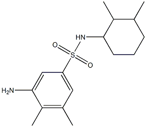 3-amino-N-(2,3-dimethylcyclohexyl)-4,5-dimethylbenzene-1-sulfonamide,,结构式