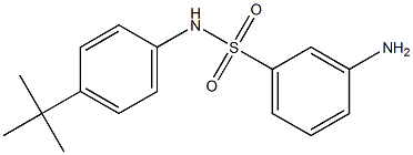 3-amino-N-(4-tert-butylphenyl)benzene-1-sulfonamide Structure