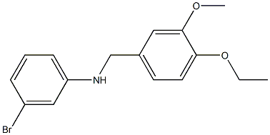 3-bromo-N-[(4-ethoxy-3-methoxyphenyl)methyl]aniline Structure