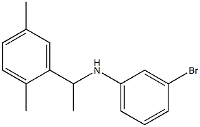 3-bromo-N-[1-(2,5-dimethylphenyl)ethyl]aniline Structure