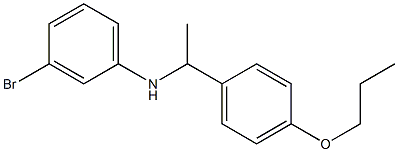 3-bromo-N-[1-(4-propoxyphenyl)ethyl]aniline Structure