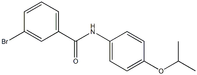 3-bromo-N-[4-(propan-2-yloxy)phenyl]benzamide Struktur