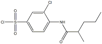 3-chloro-4-(2-methylpentanamido)benzene-1-sulfonyl chloride 化学構造式