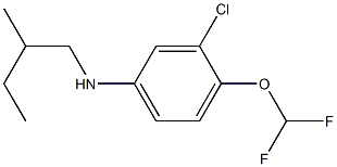 3-chloro-4-(difluoromethoxy)-N-(2-methylbutyl)aniline 化学構造式