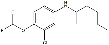  3-chloro-4-(difluoromethoxy)-N-(heptan-2-yl)aniline