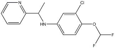 3-chloro-4-(difluoromethoxy)-N-[1-(pyridin-2-yl)ethyl]aniline 化学構造式