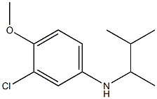 3-chloro-4-methoxy-N-(3-methylbutan-2-yl)aniline 化学構造式