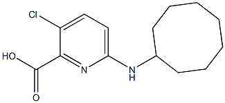 3-chloro-6-(cyclooctylamino)pyridine-2-carboxylic acid|