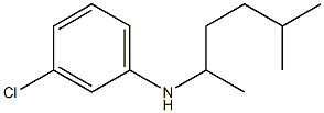 3-chloro-N-(5-methylhexan-2-yl)aniline,,结构式