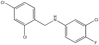 3-chloro-N-[(2,4-dichlorophenyl)methyl]-4-fluoroaniline Structure