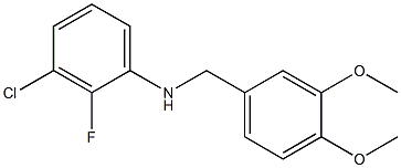 3-chloro-N-[(3,4-dimethoxyphenyl)methyl]-2-fluoroaniline,,结构式