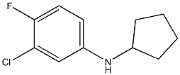 3-chloro-N-cyclopentyl-4-fluoroaniline Struktur