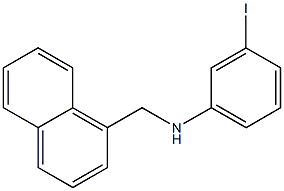 3-iodo-N-(naphthalen-1-ylmethyl)aniline,,结构式