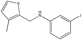 3-iodo-N-[(3-methylthiophen-2-yl)methyl]aniline 化学構造式