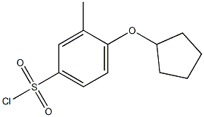 4-(cyclopentyloxy)-3-methylbenzene-1-sulfonyl chloride Structure