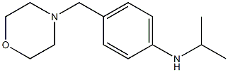 4-(morpholin-4-ylmethyl)-N-(propan-2-yl)aniline 化学構造式