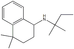  4,4-dimethyl-N-(2-methylbutan-2-yl)-1,2,3,4-tetrahydronaphthalen-1-amine