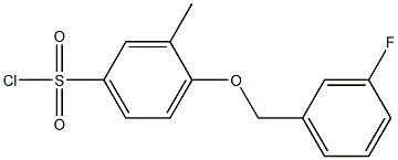 4-[(3-fluorophenyl)methoxy]-3-methylbenzene-1-sulfonyl chloride 结构式