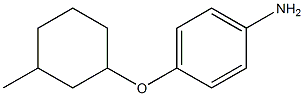 4-[(3-methylcyclohexyl)oxy]aniline 化学構造式