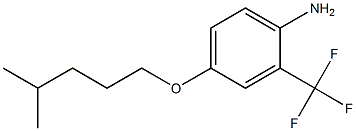 4-[(4-methylpentyl)oxy]-2-(trifluoromethyl)aniline