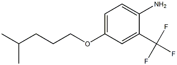 4-[(4-methylpentyl)oxy]-2-(trifluoromethyl)aniline Structure