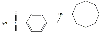 4-[(cyclooctylamino)methyl]benzene-1-sulfonamide,,结构式