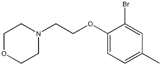 4-[2-(2-bromo-4-methylphenoxy)ethyl]morpholine Structure