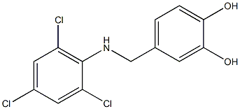 4-{[(2,4,6-trichlorophenyl)amino]methyl}benzene-1,2-diol 结构式