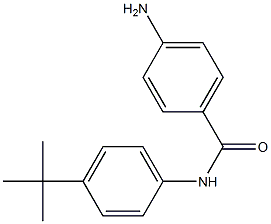 4-amino-N-(4-tert-butylphenyl)benzamide Structure