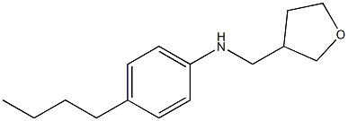 4-butyl-N-(oxolan-3-ylmethyl)aniline Struktur