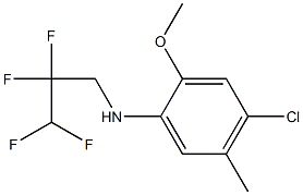 4-chloro-2-methoxy-5-methyl-N-(2,2,3,3-tetrafluoropropyl)aniline 结构式