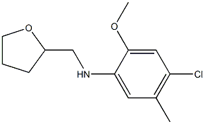 4-chloro-2-methoxy-5-methyl-N-(oxolan-2-ylmethyl)aniline 化学構造式