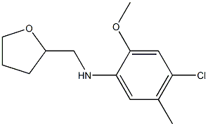 4-chloro-2-methoxy-5-methyl-N-(oxolan-2-ylmethyl)aniline Structure