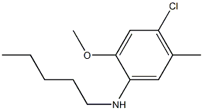 4-chloro-2-methoxy-5-methyl-N-pentylaniline