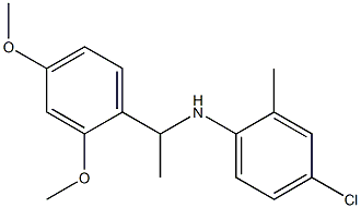 4-chloro-N-[1-(2,4-dimethoxyphenyl)ethyl]-2-methylaniline Structure