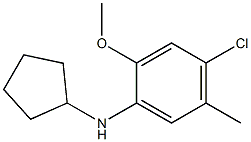 4-chloro-N-cyclopentyl-2-methoxy-5-methylaniline,,结构式
