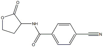 4-cyano-N-(2-oxooxolan-3-yl)benzamide Struktur