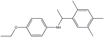 4-ethoxy-N-[1-(2,4,5-trimethylphenyl)ethyl]aniline 结构式