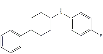 4-fluoro-2-methyl-N-(4-phenylcyclohexyl)aniline 结构式