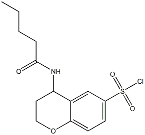 4-pentanamido-3,4-dihydro-2H-1-benzopyran-6-sulfonyl chloride Structure