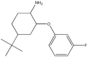 4-tert-butyl-2-(3-fluorophenoxy)cyclohexan-1-amine,,结构式