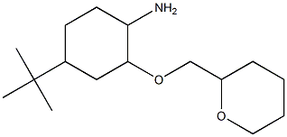 4-tert-butyl-2-(oxan-2-ylmethoxy)cyclohexan-1-amine Struktur