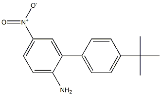 4'-tert-butyl-5-nitro-1,1'-biphenyl-2-amine Structure