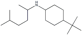 4-tert-butyl-N-(5-methylhexan-2-yl)cyclohexan-1-amine Struktur