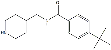 4-tert-butyl-N-(piperidin-4-ylmethyl)benzamide Structure